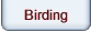 Birding