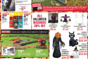 Fall Clean-up & Halloween Decorations on Sale 50% OFF