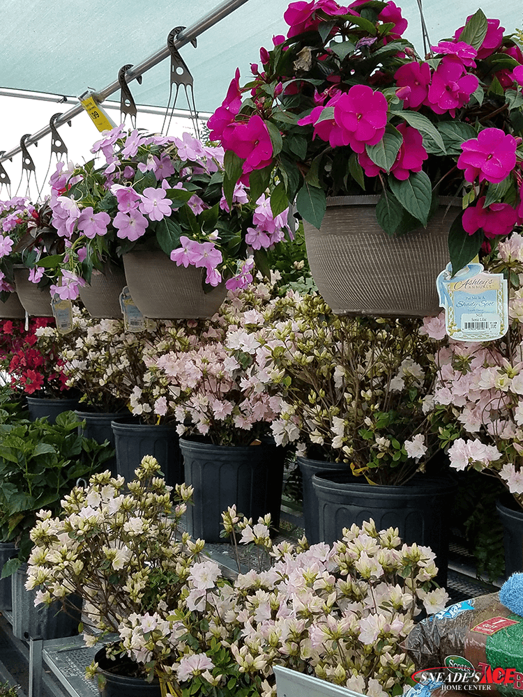  Garden Center 25