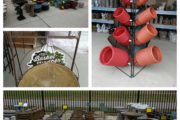 Sneade's Garden Center at Lusby, Maryland Has What You Need!