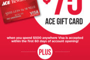 Ace Rewards Visa - Great Budget Stretching Tool