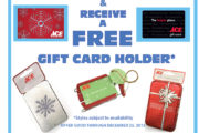 Ace Gift Guard Special Offer - Make Your Holidays Bright