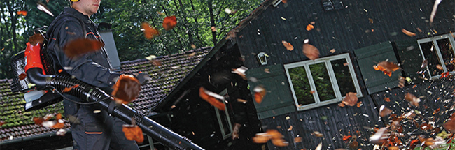 Echo Professional Grade Leaf Blowers