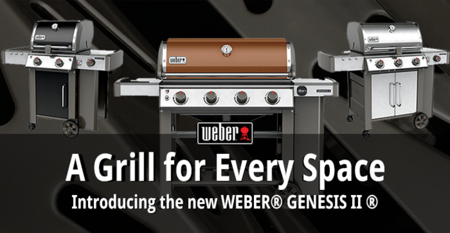 The New Weber Genesis II