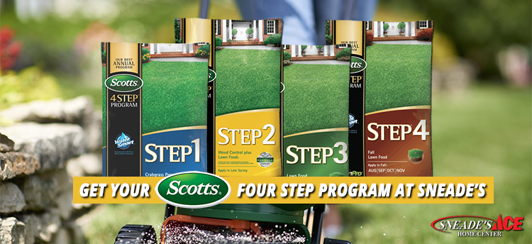 4 Easy Steps to a Beautiful Lawn Featured