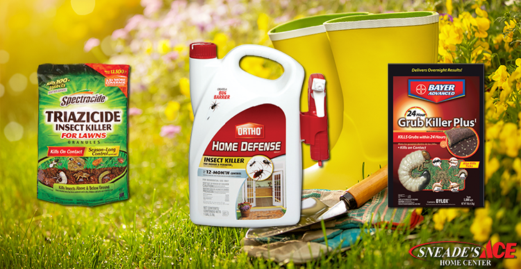 Lawn and Garden Keep the Pests Our of Your Lawn Featured