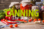 canning the basics featured
