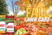 Fall Lawn Care Featured
