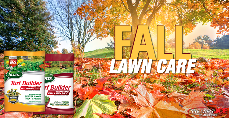 Fall Lawn Care Featured