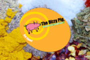 dizzy pig featured image 2