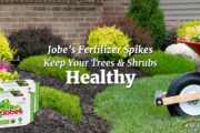 jobes fertilizer spikes featured