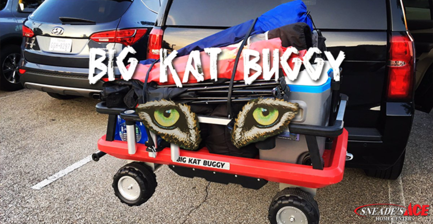 Big Kat Buggy