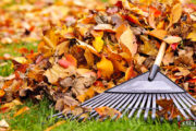 Prep Your Lawn for Winter and Beyond featured image