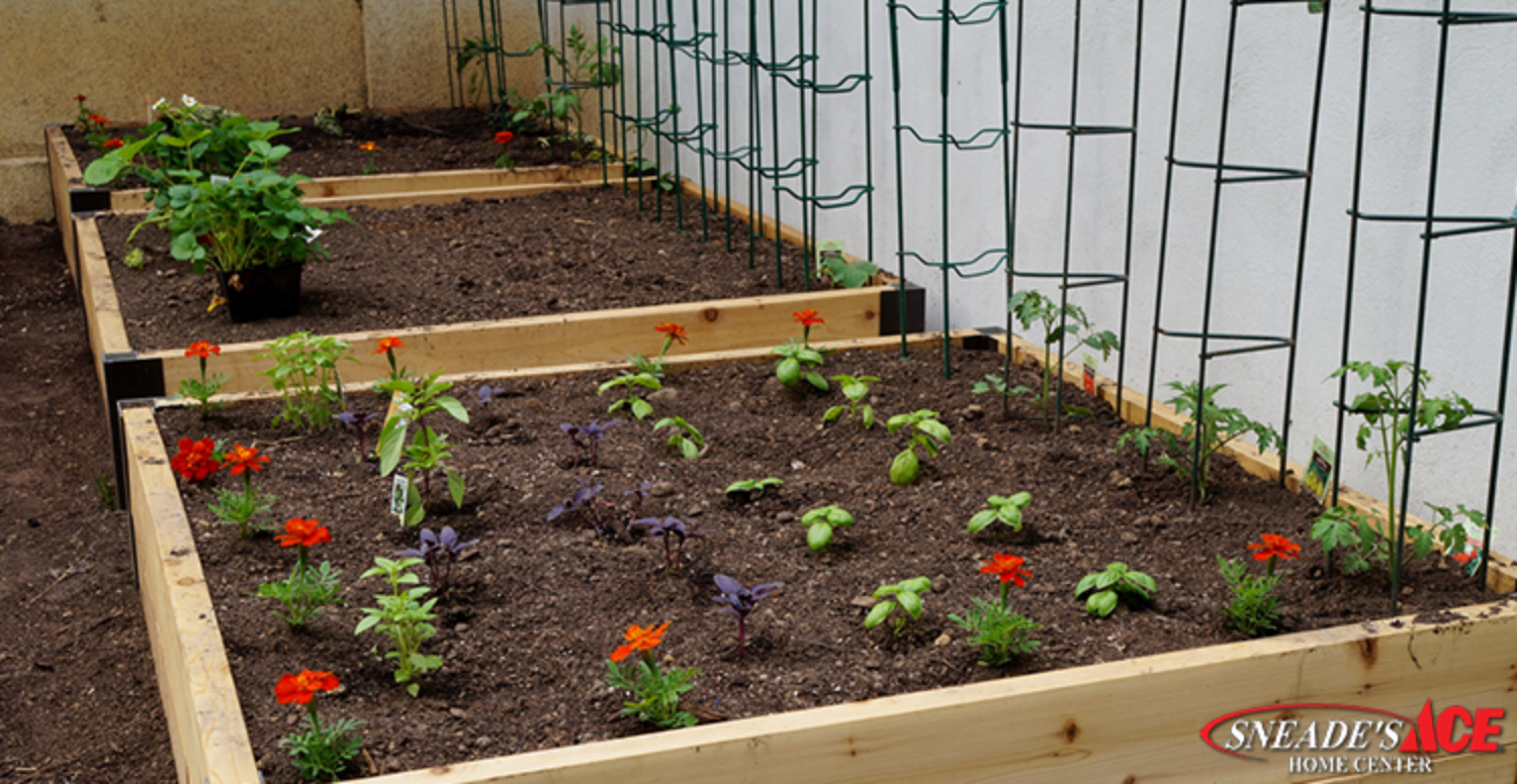 The Benefits of Raised Garden Beds