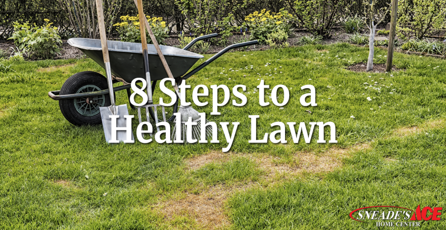 8 Steps To a Healthy Lawn