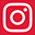 sneades instagram logo