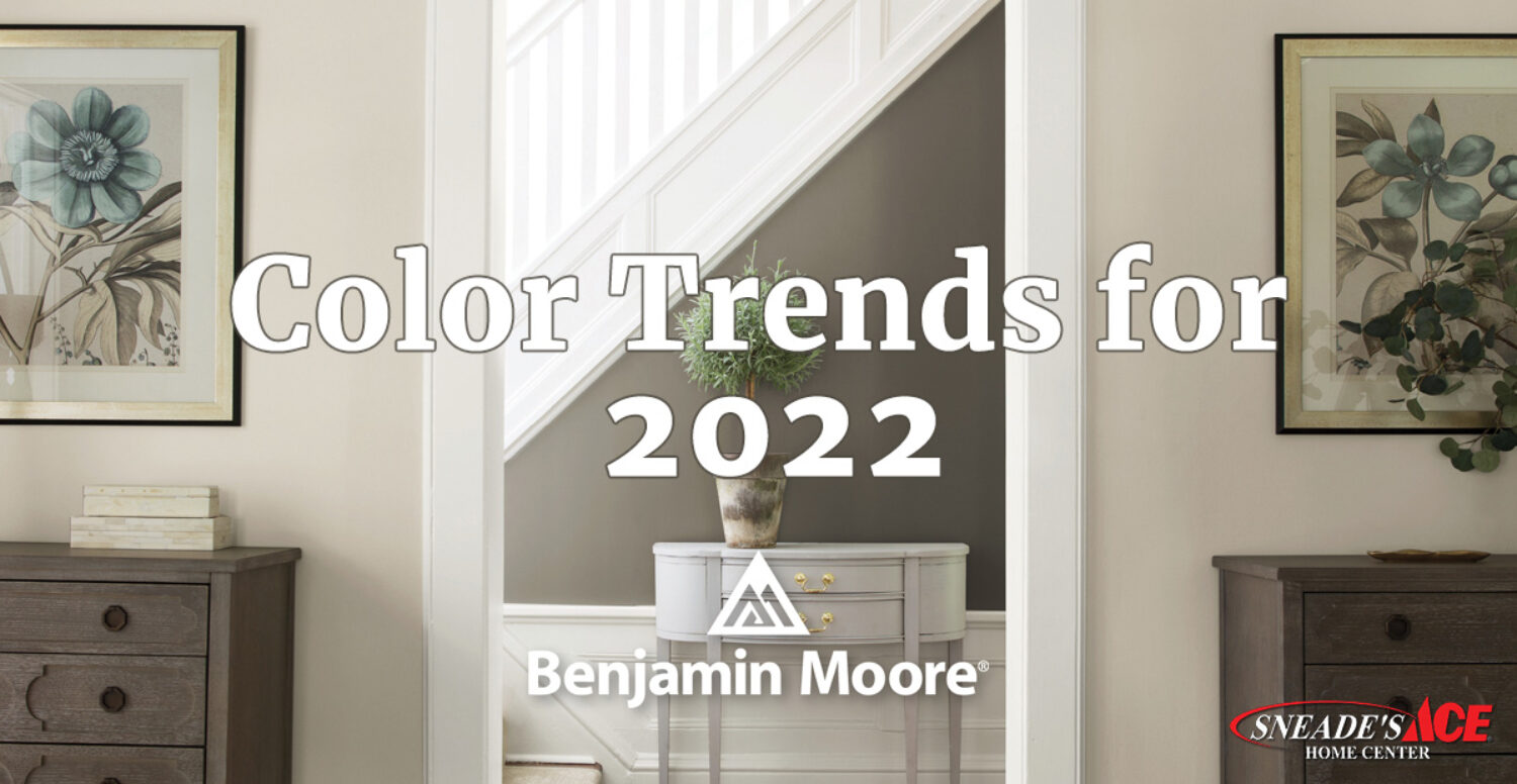 This Year's Color Trends