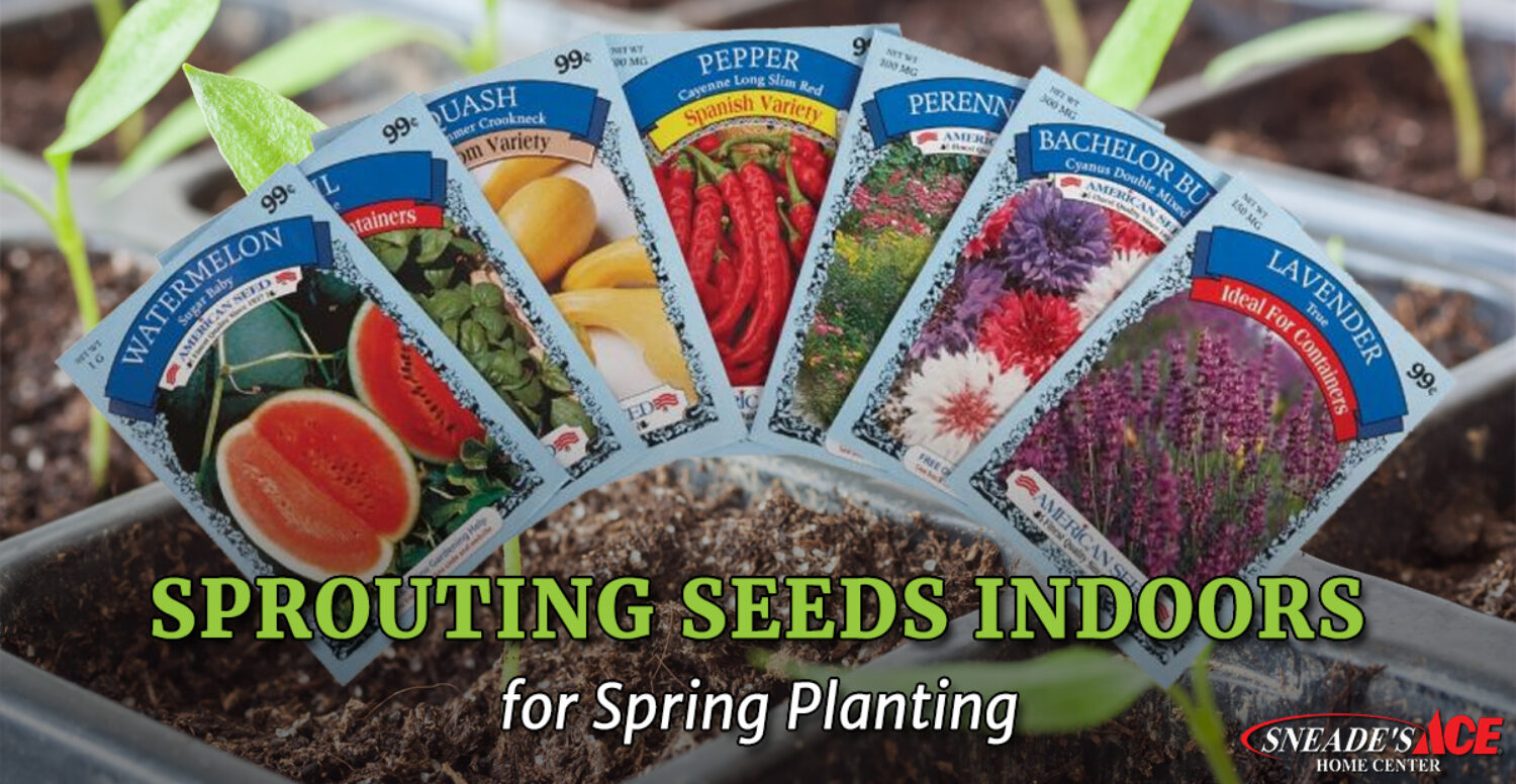 Sprouting Seeds Indoors for Spring Planting