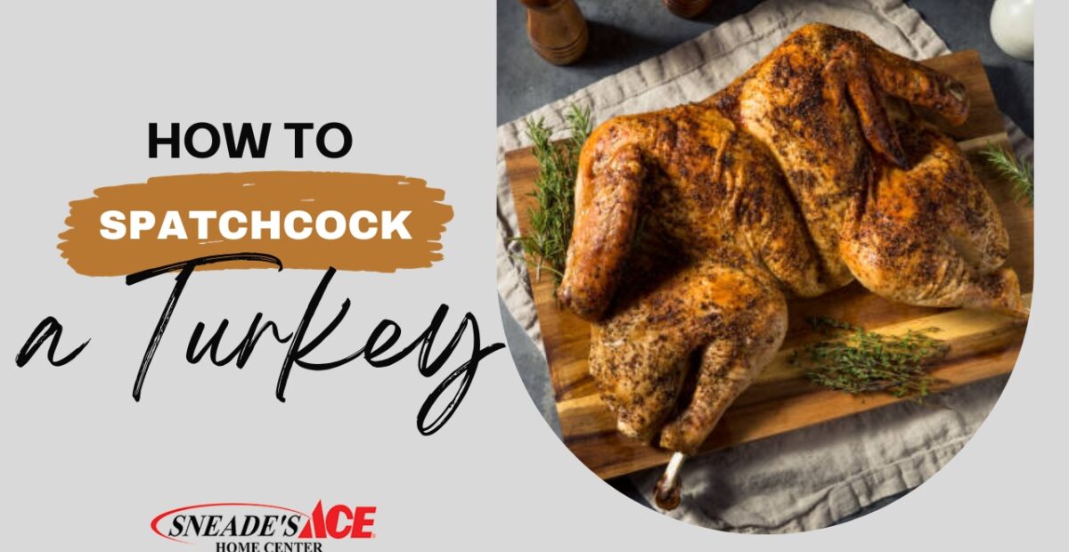 Unlocking Thanksgiving Excellence: How to Spatchcock a Turkey